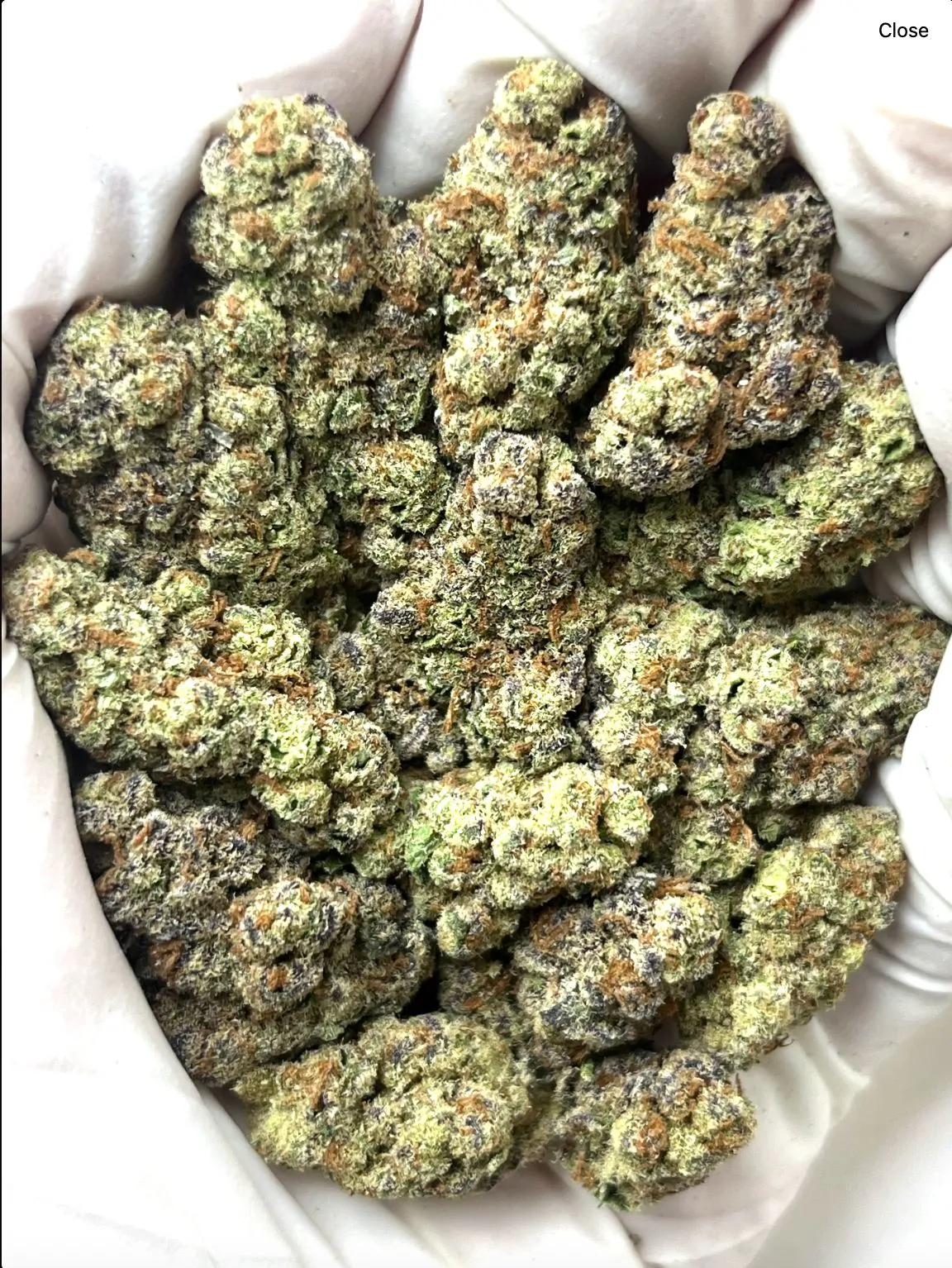 Glitter Bomb Packaged Flower